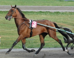 Random Shot 130808-6